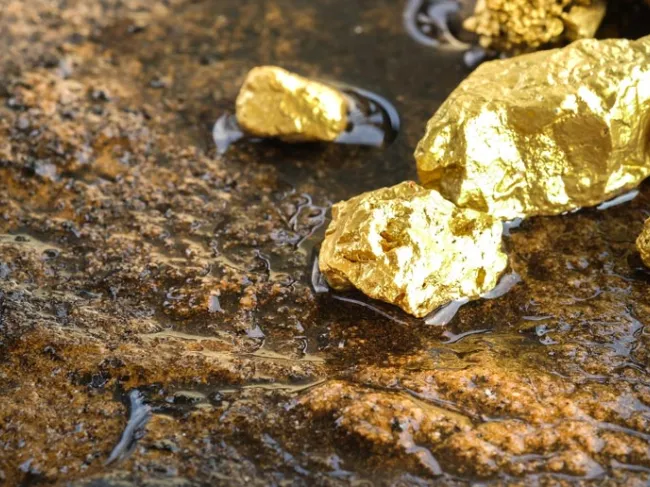 gold nuggets